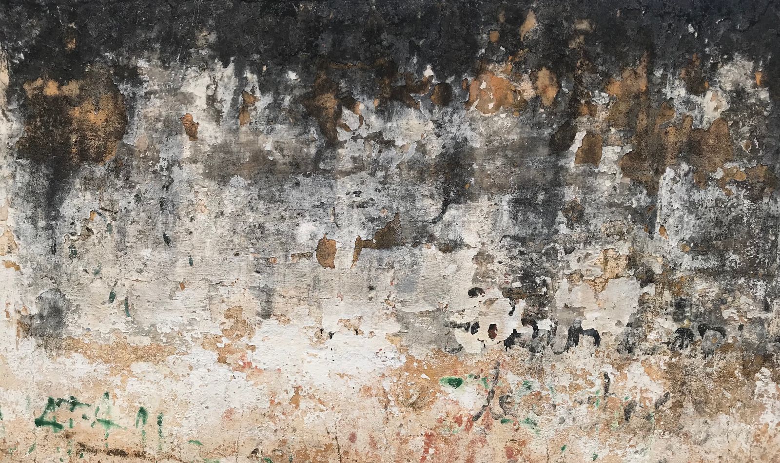 Close view of a wall with extensive peeling and damaged coating